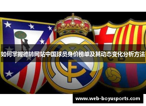 如何掌握德转网站中国球员身价榜单及其动态变化分析方法