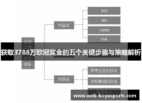 获取3788万欧冠奖金的五个关键步骤与策略解析