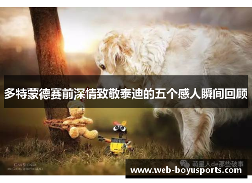 多特蒙德赛前深情致敬泰迪的五个感人瞬间回顾